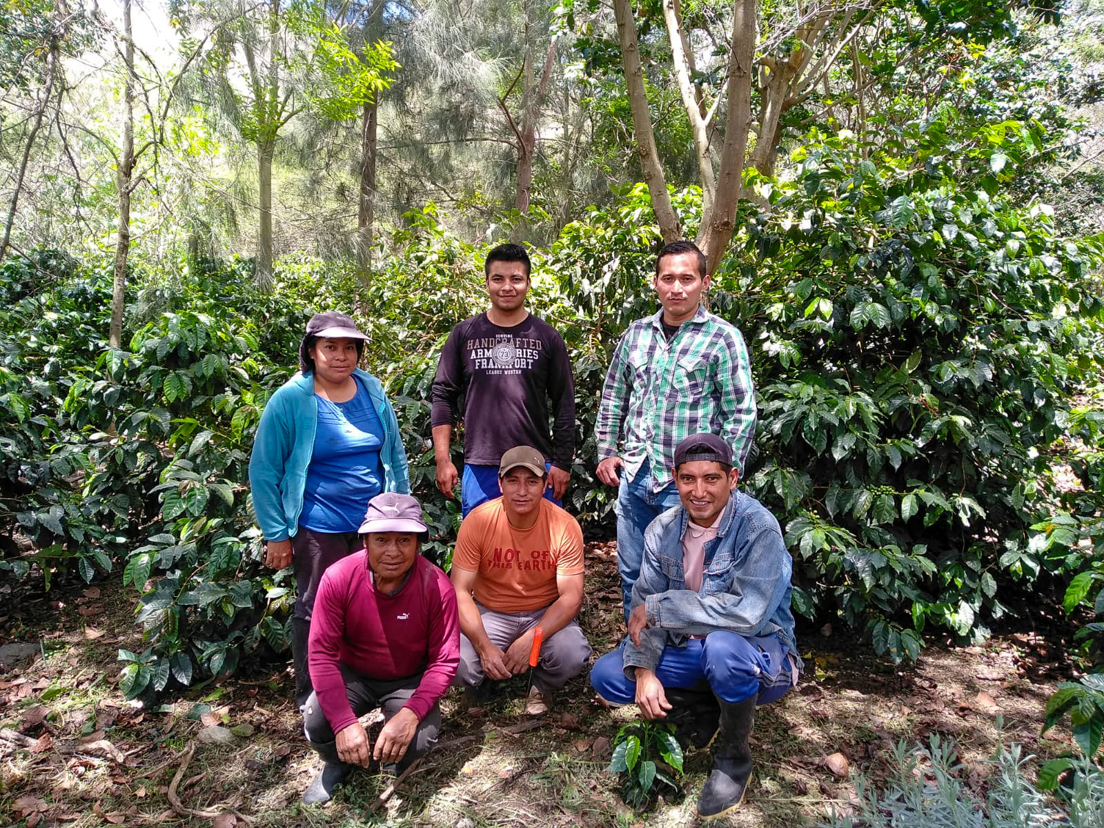Terrazas del Pisque : Ecuador