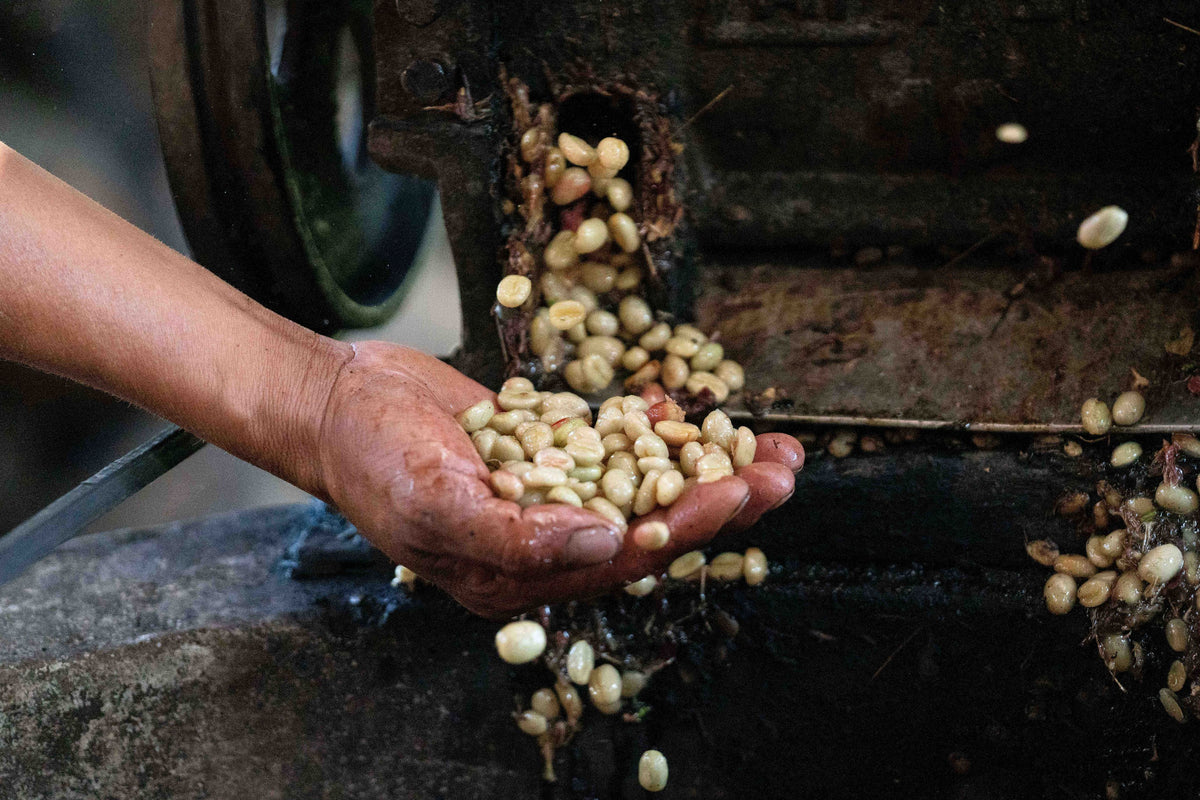 Alberto Penafiel : Peru